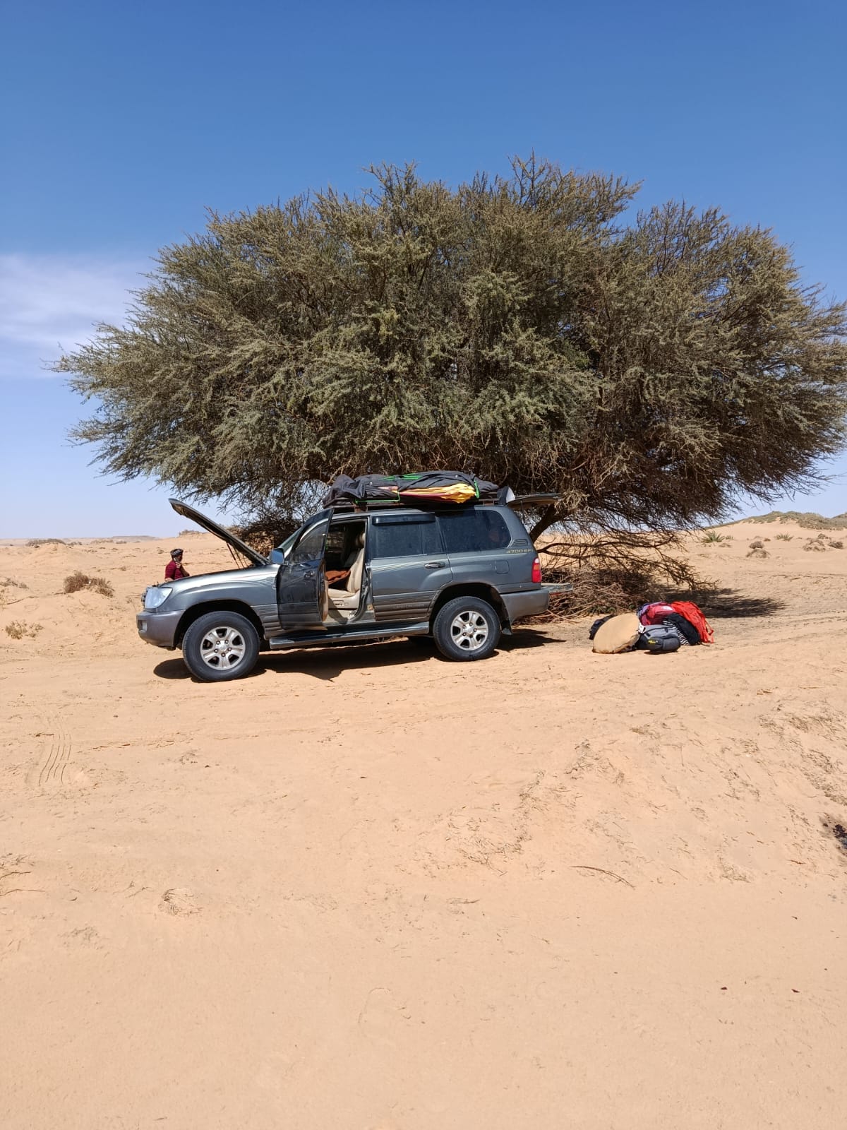 Deserts